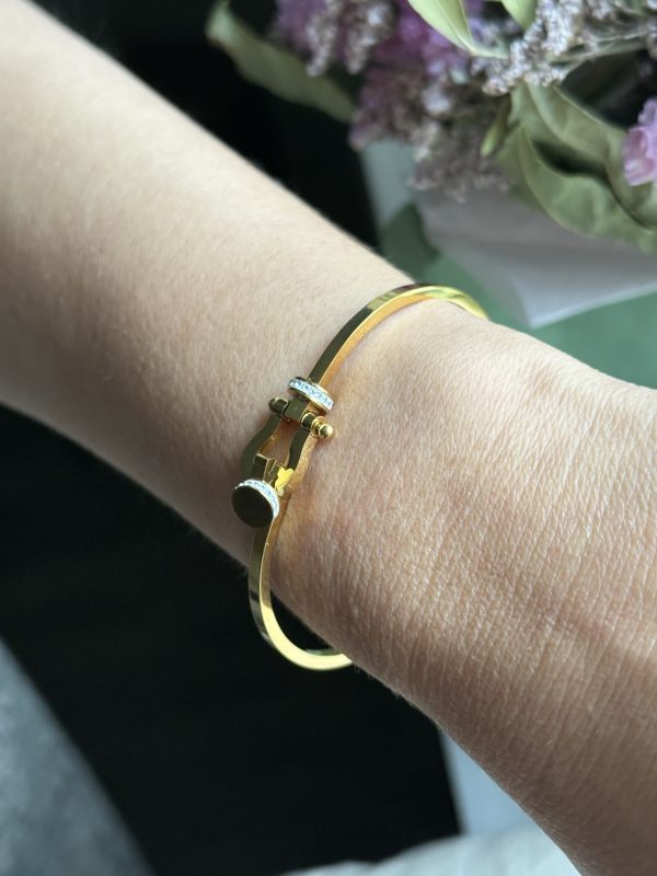 img_2980 Bracelet Fred